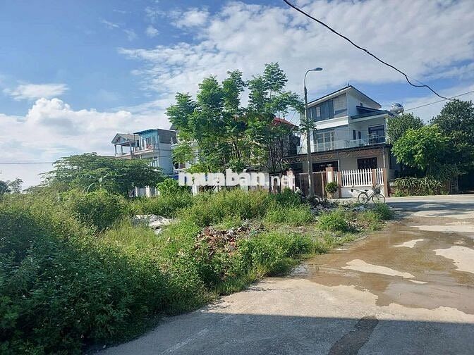 Bán đất ĐẤU GIÁ – BÌA LÀNG- Đại Bằng Nguyên Khê, Đông Anh, Hà nội