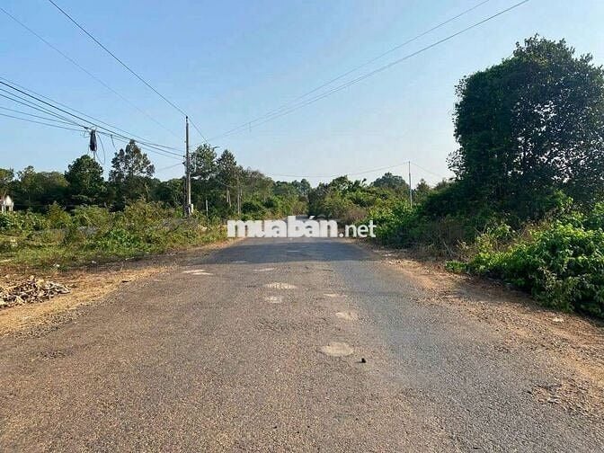 Bán 3sao 356, đất châu pha, thổ cư 180