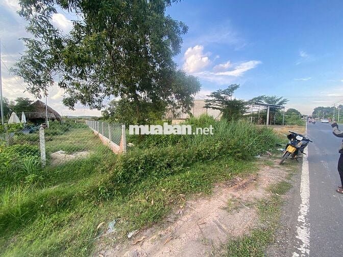 MẶT TIỀN KINH DOANH HL 1 5X45 CÓ THỔ CƯ 1TỶ400 TRIỆU