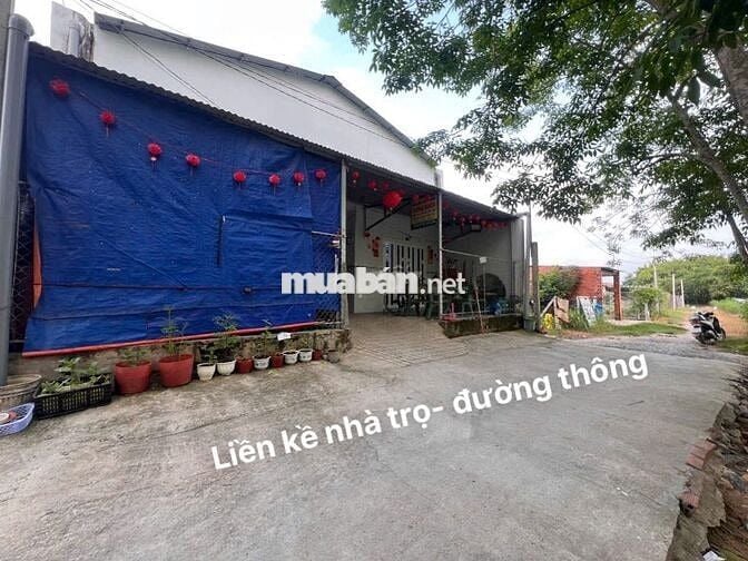 5x39 full thổ , KCN PHƯỚC ĐÔNG. 810 TRIỆU  THƯƠNG LƯỢNG