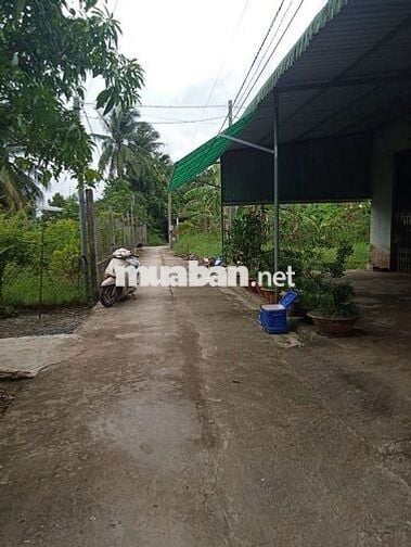 Đất vườn Long Tuyền Bình Thủy cũ
