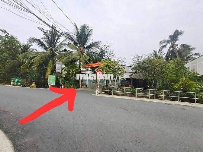 Nền full thổ cư Trung Tâm Bình Thủy