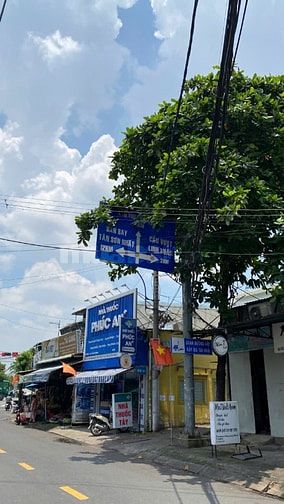 Bán đất đường số 9 phường Linh Tây gần chợ Thủ Đức (2.156m2) 50 tr/m2