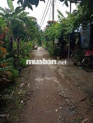 Đất vườn Long Tuyền Bình Thủy cũ