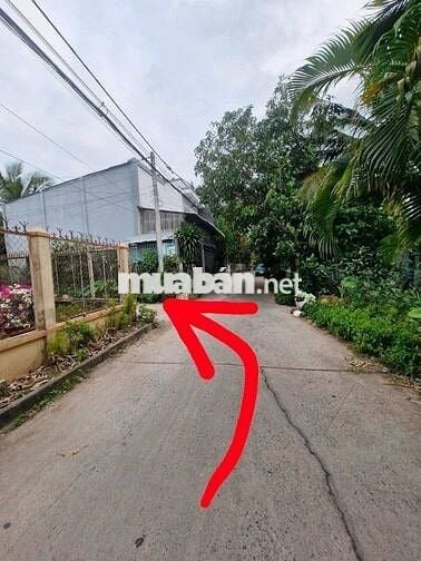 Nền full thổ cư Trung Tâm Bình Thủy
