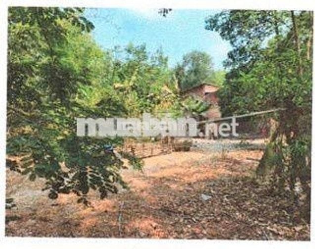 Bán ĐGTS đất tại TĐ số: 159, xã Thạnh Đức, tỉnh Tây Ninh