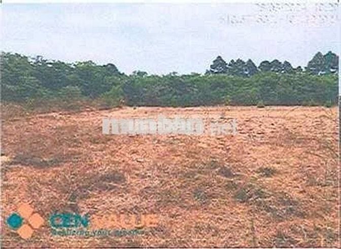 Bán ĐGTS đất tại phường Tân Thành, TP. Hồ Chí Minh