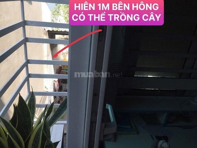 Bán nhà giá rẻ Phạm Đăng Giảng (5,5 x 15) (3pn - 2wc) - Quận Bình Tân