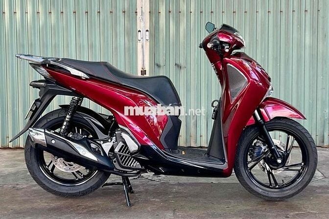 SH 150/2019 bao kí giấy