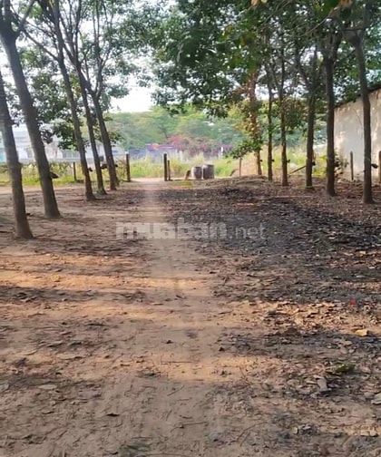 💥GIẢM 02 TỶ - 3.441m2, 22x157m Đất 2MT Hùng Vương - D8 KCN Rạch Bắp