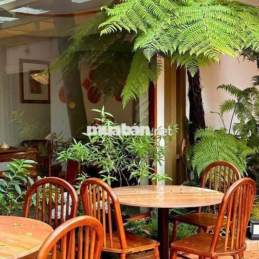 !!! TING TING !!! SÂN VƯỜN VINTAGE NGANG 15M NGAY TRUNG TÂM QUẬN 3