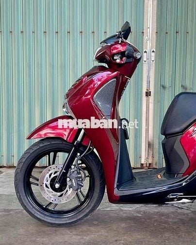 SH 150/2019 bao kí giấy