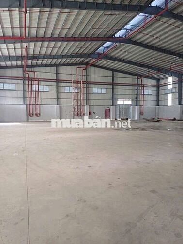 CHO THUÊ NHÀ XƯỞNG 1200M2 HOÁ CHẤT KCN XUYÊN Á – MỸ HẠNH LONG AN