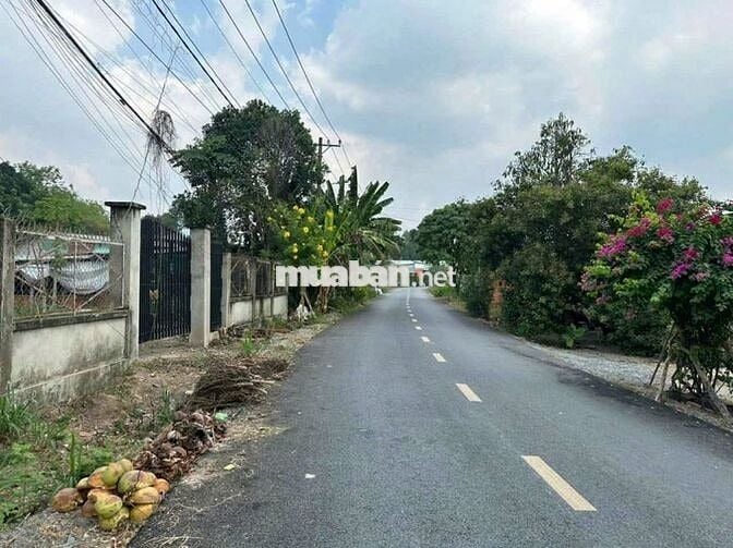 Bán lô 153m2 đất giá 900tr, Đ. Liêu Bình Hương, TT Củ Chi, SHR