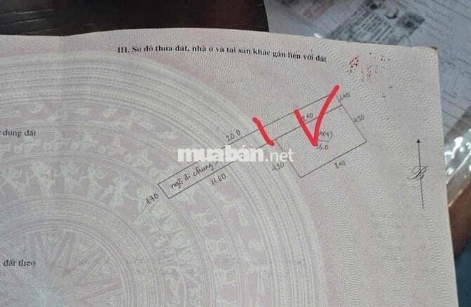 Bán đất vạn 2 thanh trì hà nội