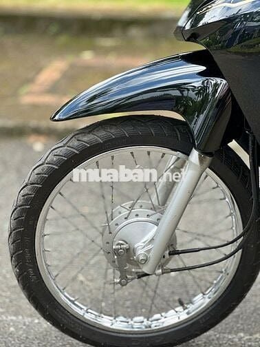 wave 2022 zin