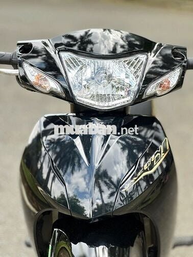wave 2022 zin