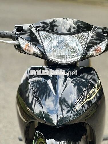 wave 2022 zin