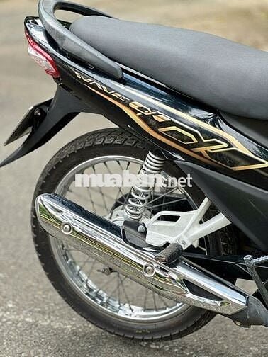 wave 2022 zin