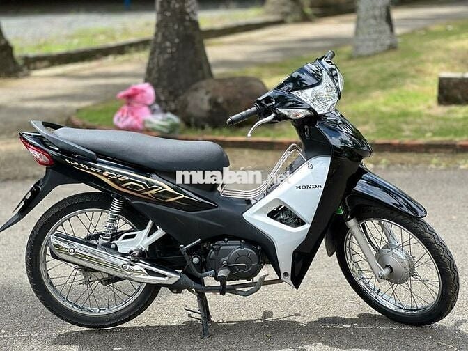 wave 2022 zin
