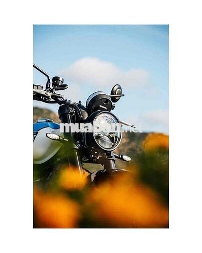 🇬🇧🏍️ Triumph Speed Twin 900 2025 💥