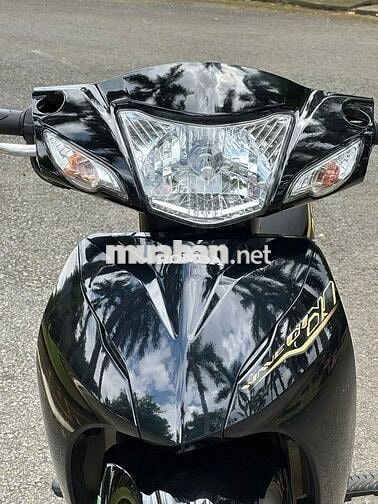 wave 2022 zin