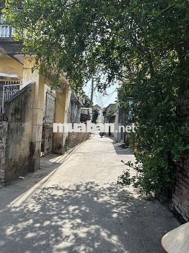 Bán gấp đất Tứ Hiệp ô tô đỗ cổng lô góc trung tâm Thanh Trì giá 6.5 tỷ