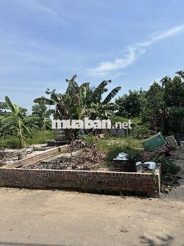 Bán gấp đất Tứ Hiệp ô tô đỗ cổng lô góc trung tâm Thanh Trì giá 6.5 tỷ