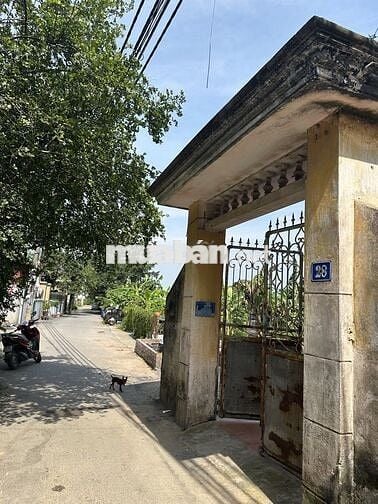 Bán gấp đất Tứ Hiệp ô tô đỗ cổng lô góc trung tâm Thanh Trì giá 6.5 tỷ Bán gấp đất Tứ Hiệp ô tô đỗ cổng lô góc trung tâm Thanh Trì giá 6.5 tỷ