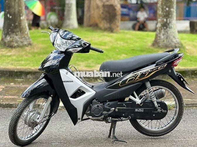 wave 2022 zin