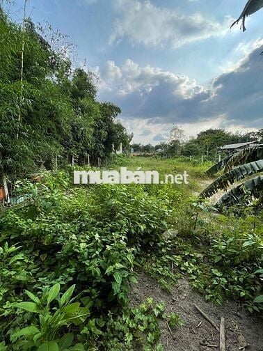 Đất shr full thổ cư gần kcn Đông Nam