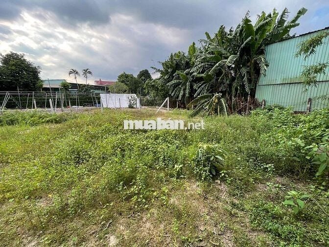 Đất shr full thổ cư gần kcn Đông Nam