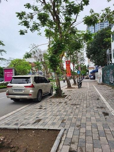 BÁN GẤP ĐẤT MẶT PHỐ LẠC LONG QUÂN, 2 THOÁNG, 170M2, MT 6M, 88 TỶ