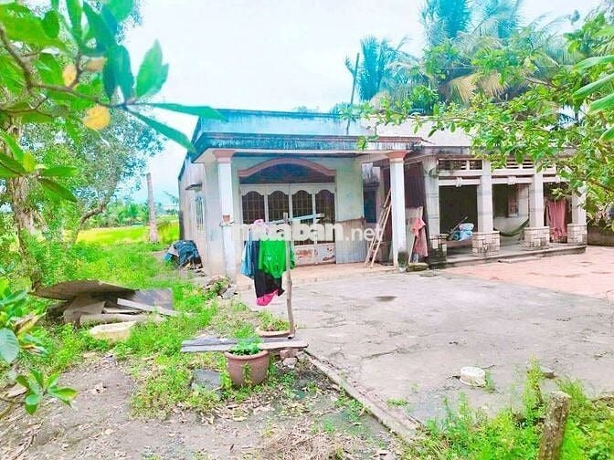 BÁN 2700M2 ĐẤT - 188M2 THỔ CƯ - GIÁ : 3.1TR/M2 !