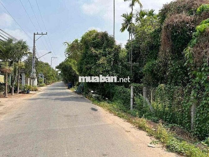 đất mặt đường an sơn 01. có măng cụt