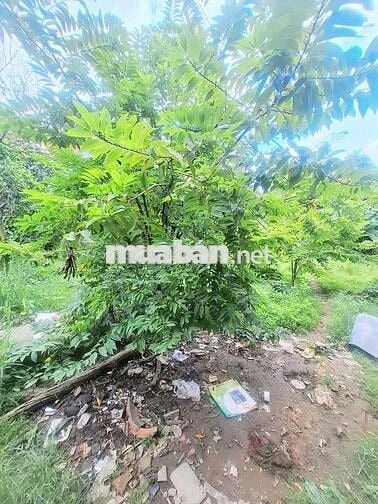 CHO THUÊ NHÀ PHƯỜNG TRẤN BIÊN GIÁ 5 TRIỆU