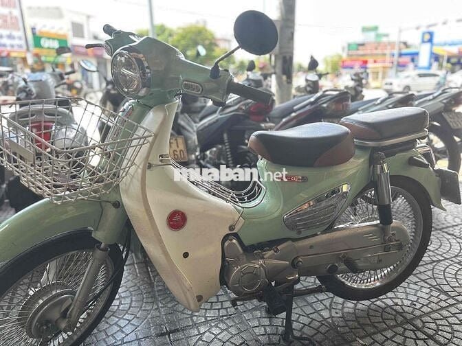 cub 50 cc