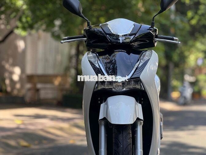 Shvn trắng 2024 smatrey zin ken chạy lước