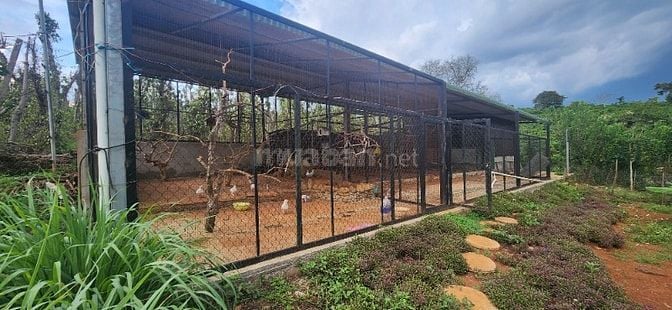 chính chủ cần bán gấp 6.000m2, khu du lịch sinh thái