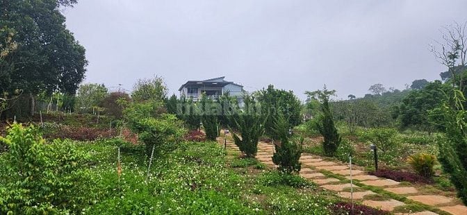 chính chủ cần bán gấp 6.000m2, khu du lịch sinh thái