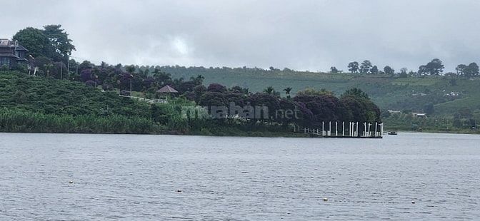 chính chủ cần bán gấp 6.000m2, khu du lịch sinh thái