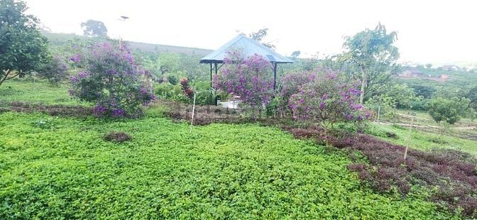 chính chủ cần bán gấp 6.000m2, khu du lịch sinh thái