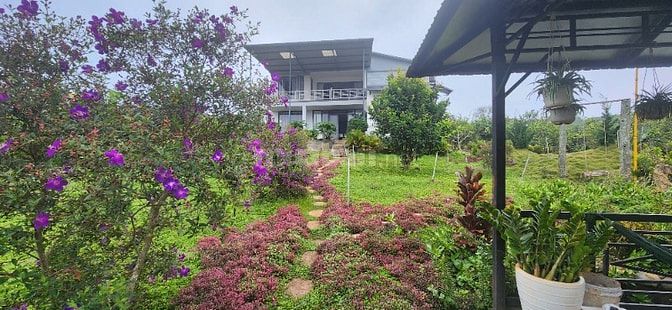 chính chủ cần bán gấp 6.000m2, khu du lịch sinh thái