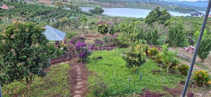 chính chủ cần bán gấp 6.000m2, khu du lịch sinh thái