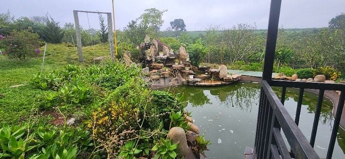 chính chủ cần bán gấp 6.000m2, khu du lịch sinh thái