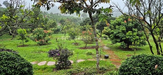 chính chủ cần bán gấp 6.000m2, khu du lịch sinh thái