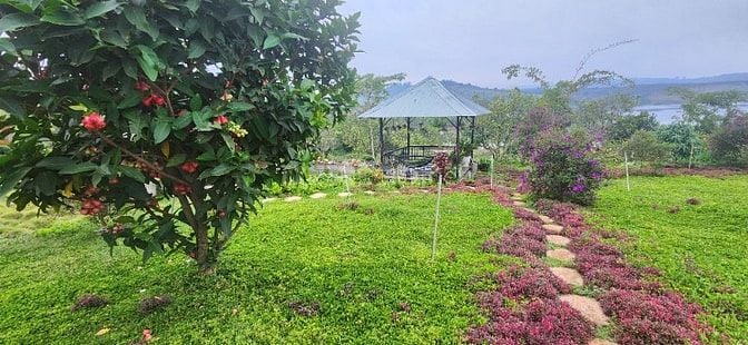 chính chủ cần bán gấp 6.000m2, khu du lịch sinh thái