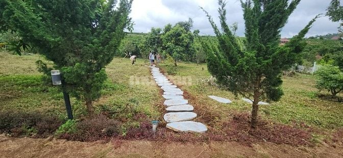 chính chủ cần bán gấp 6.000m2, khu du lịch sinh thái
