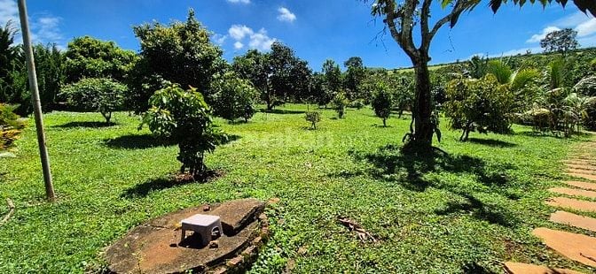 chính chủ cần bán gấp 6.000m2, khu du lịch sinh thái
