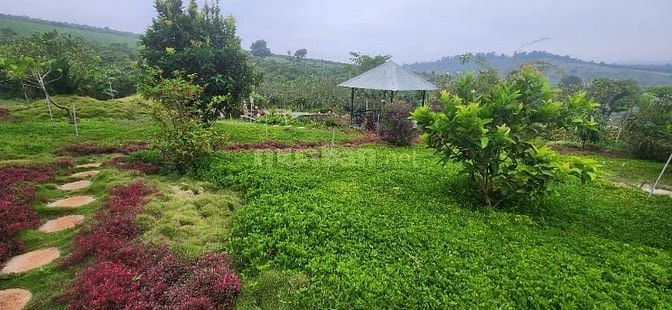 chính chủ cần bán gấp 6.000m2, khu du lịch sinh thái